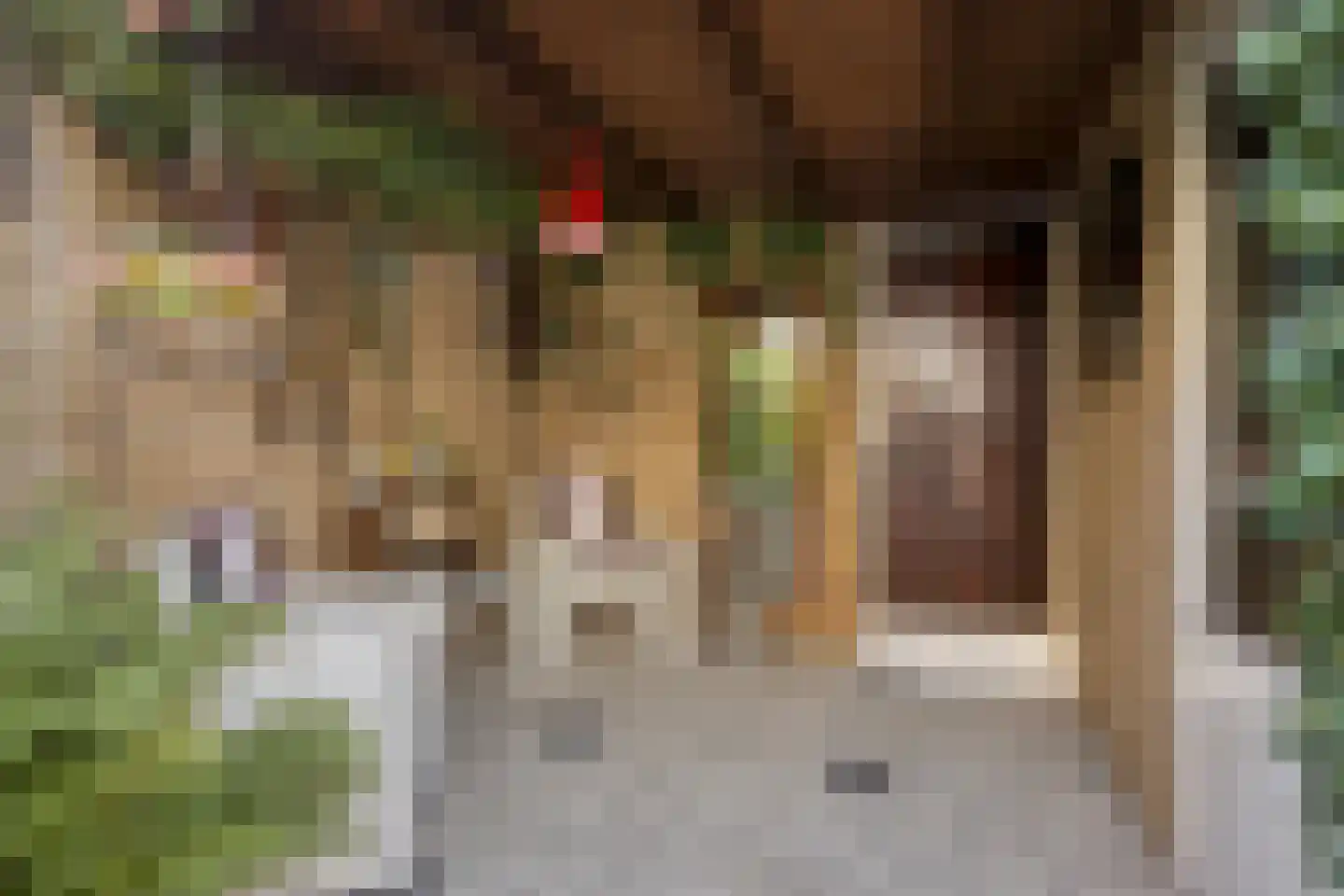 A. Anemastraat 32 Papendrecht thumbnail 34