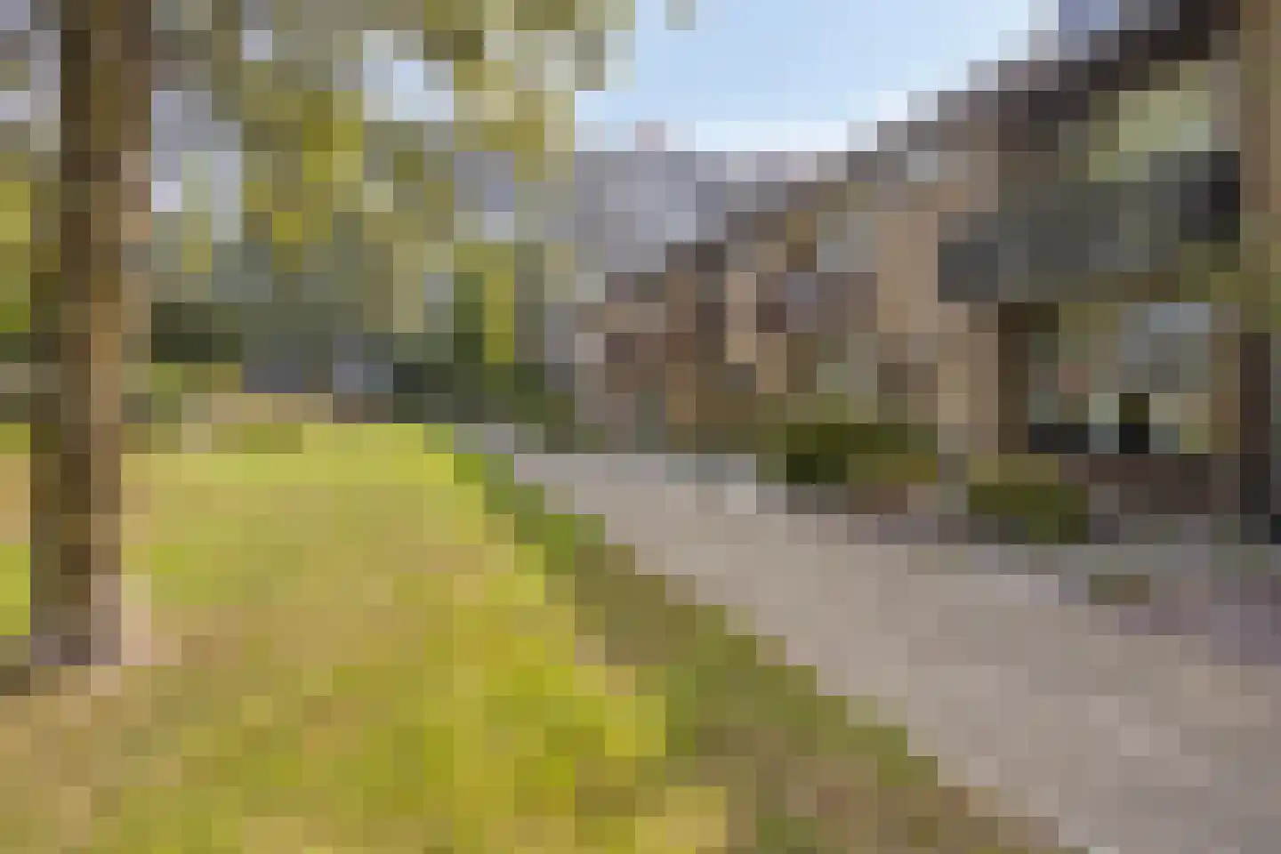 A. Anemastraat 32 Papendrecht thumbnail 36