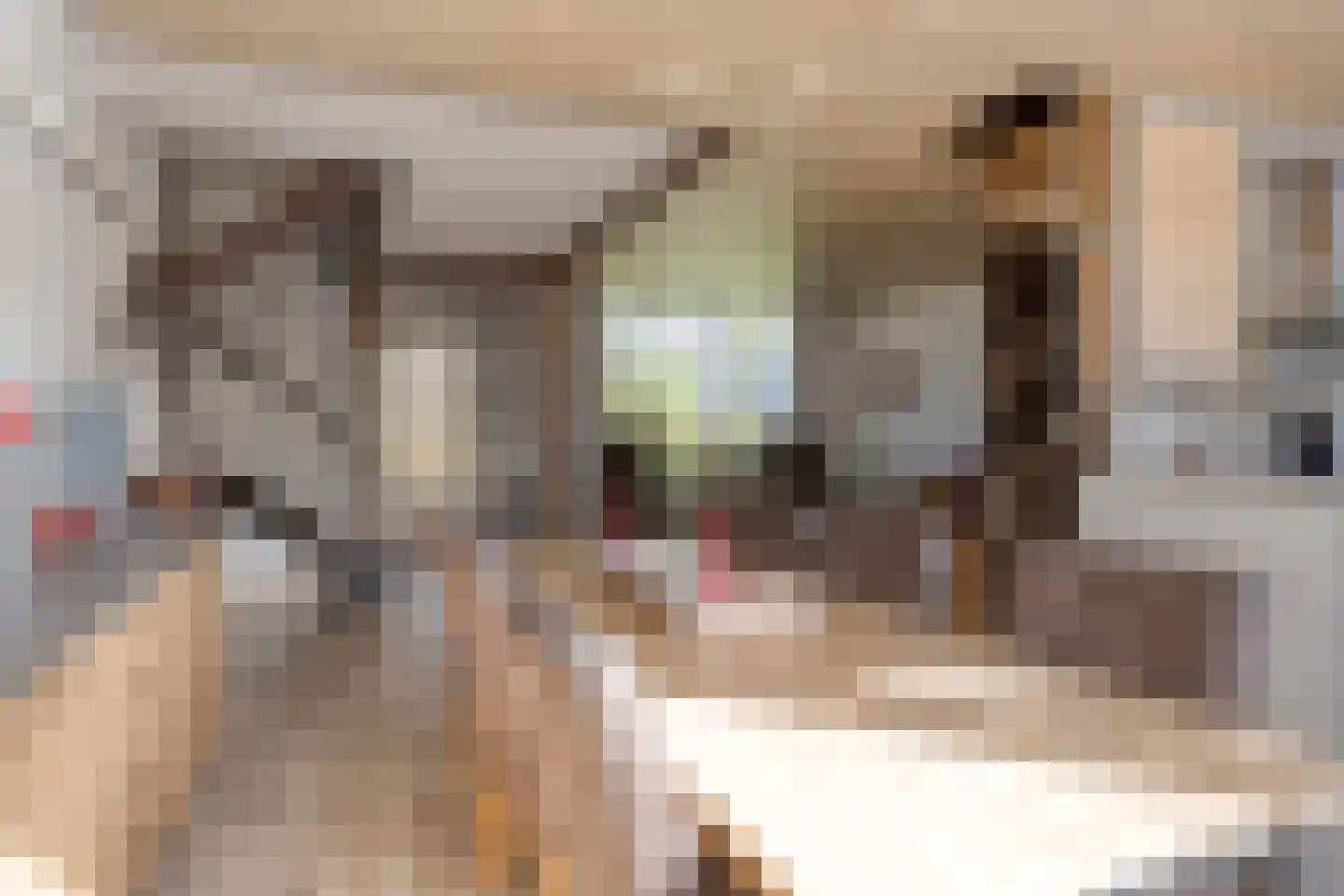 A. Anemastraat 32 Papendrecht thumbnail 9