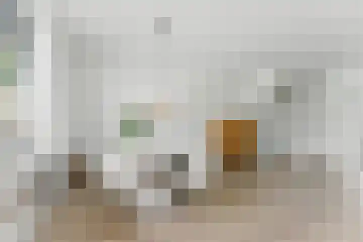A. Anemastraat 8 Papendrecht thumbnail 12