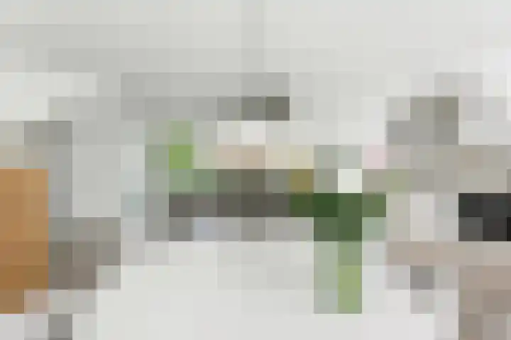 A. Anemastraat 8 Papendrecht thumbnail 14