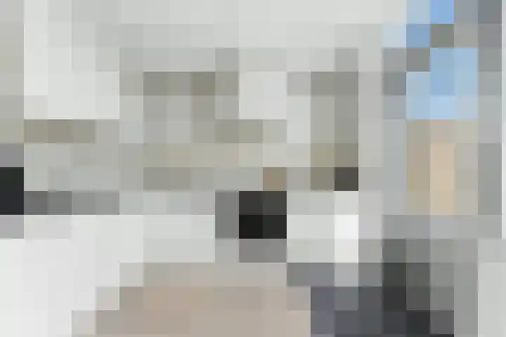 A. Anemastraat 8 Papendrecht thumbnail 18