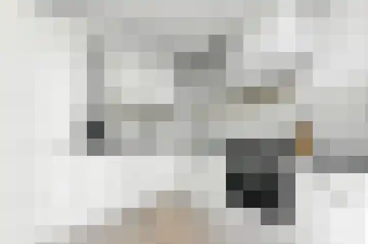 A. Anemastraat 8 Papendrecht thumbnail 20