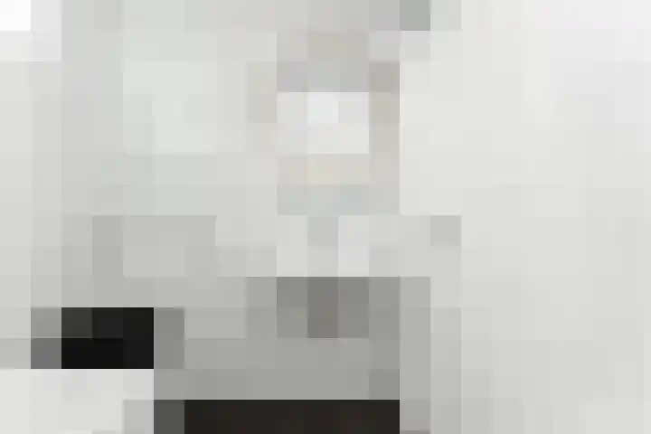 A. Anemastraat 8 Papendrecht thumbnail 23