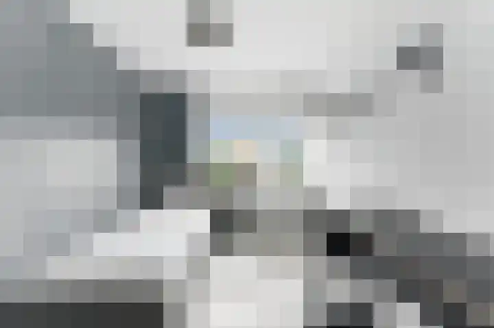 A. Anemastraat 8 Papendrecht thumbnail 31