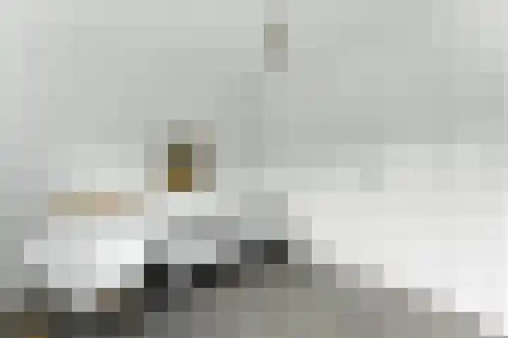 A. Anemastraat 8 Papendrecht thumbnail 34