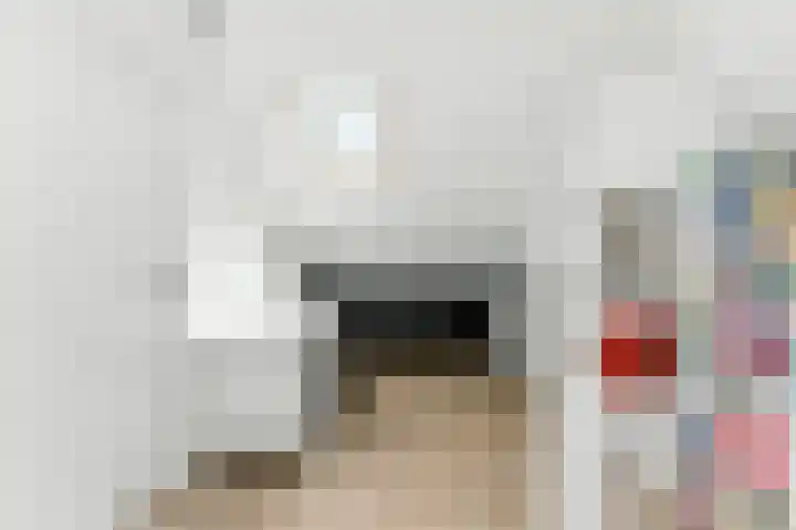 A. Anemastraat 8 Papendrecht thumbnail 35