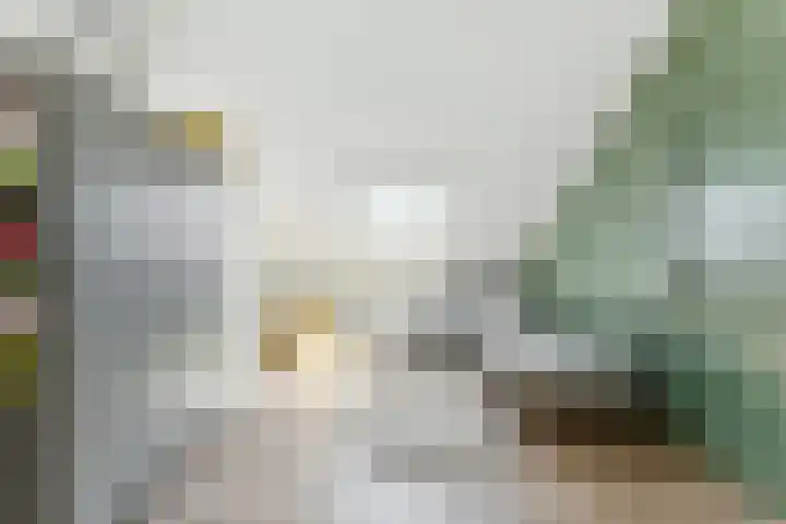 A. Anemastraat 8 Papendrecht thumbnail 38