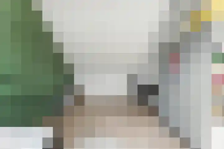 A. Anemastraat 8 Papendrecht thumbnail 39