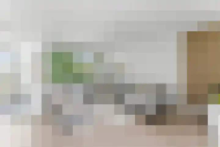 A. Anemastraat 8 Papendrecht thumbnail 4