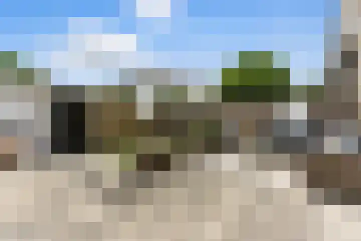 A. Anemastraat 8 Papendrecht thumbnail 40