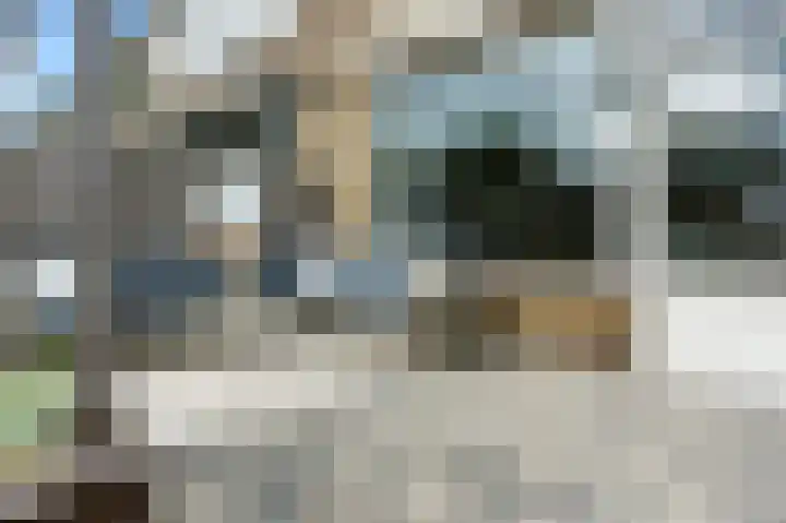 A. Anemastraat 8 Papendrecht thumbnail 43