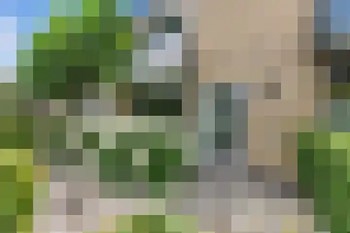 A. Anemastraat 8 Papendrecht thumbnail 48