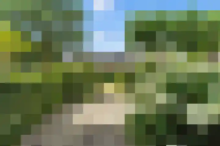 A. Anemastraat 8 Papendrecht thumbnail 49