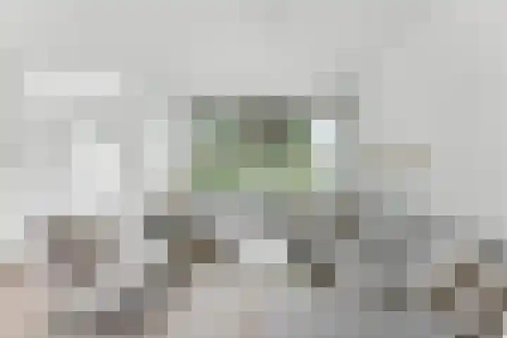 A. Anemastraat 8 Papendrecht thumbnail 5