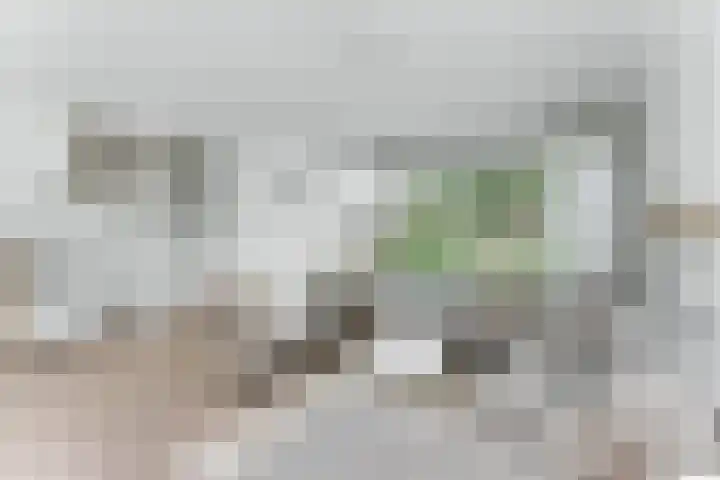 A. Anemastraat 8 Papendrecht thumbnail 6