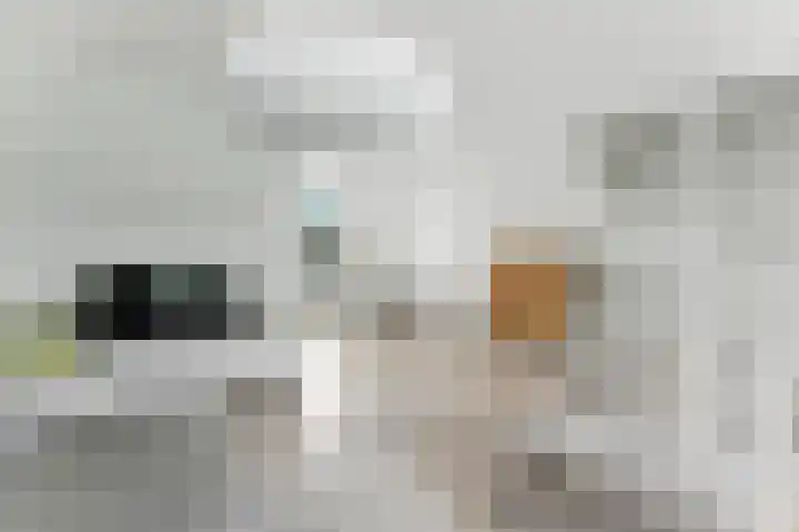 A. Anemastraat 8 Papendrecht thumbnail 8