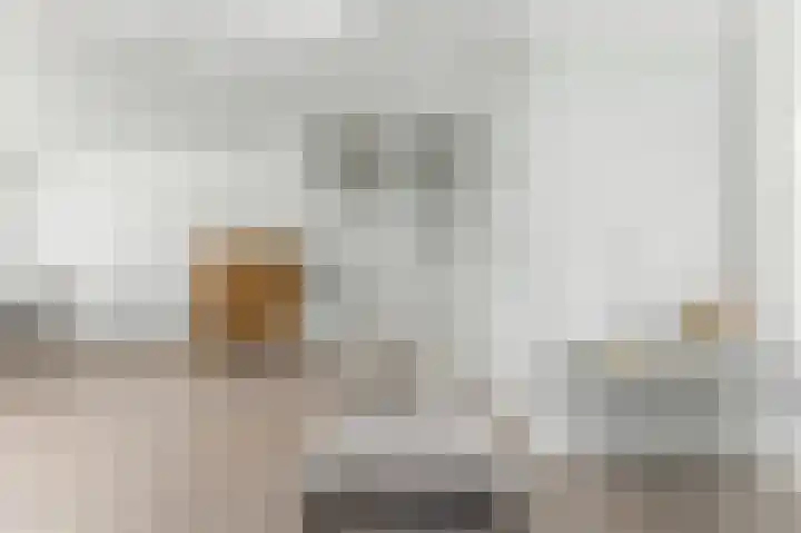 A. Anemastraat 8 Papendrecht thumbnail 9