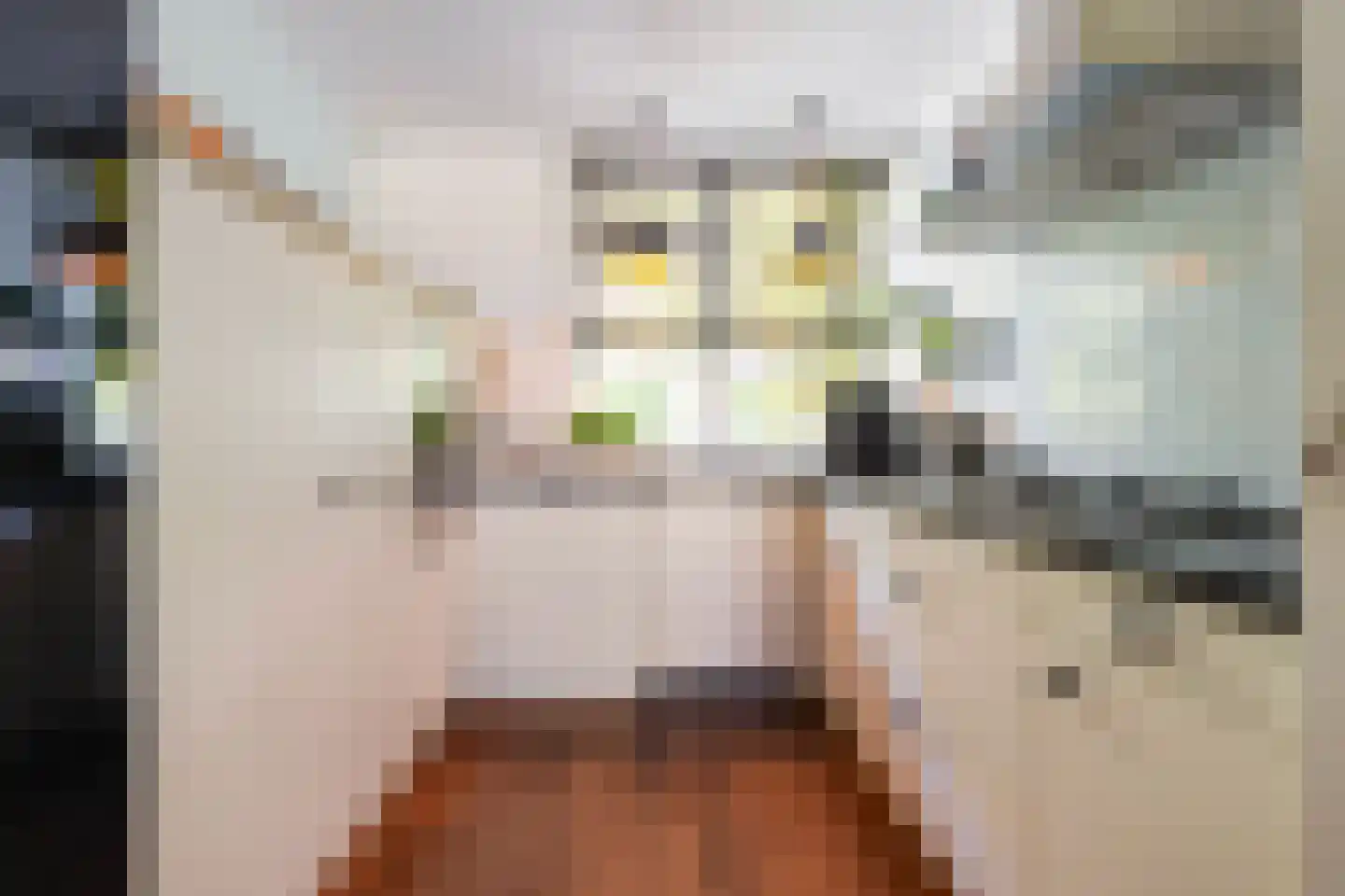 A.B. van Lieshoutlaan 101 Waalwijk thumbnail 17
