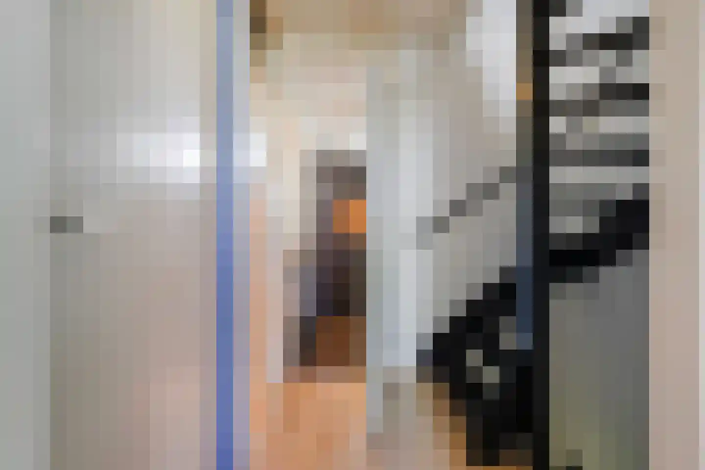 A.B. van Lieshoutlaan 101 Waalwijk thumbnail 27