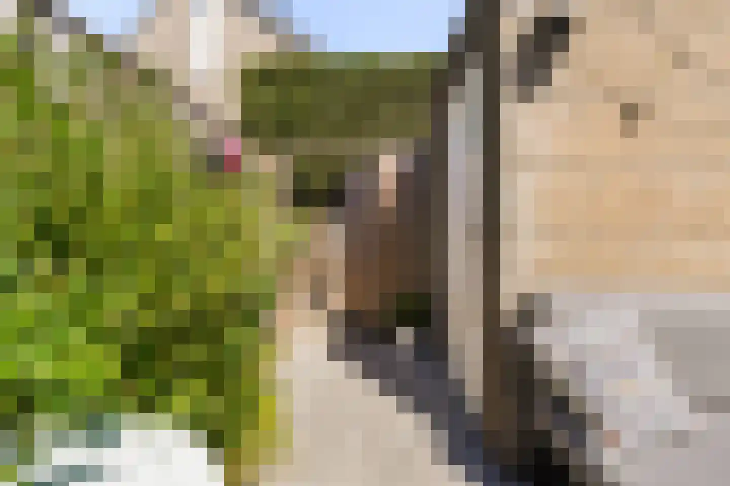 A.B. van Lieshoutlaan 101 Waalwijk thumbnail 35