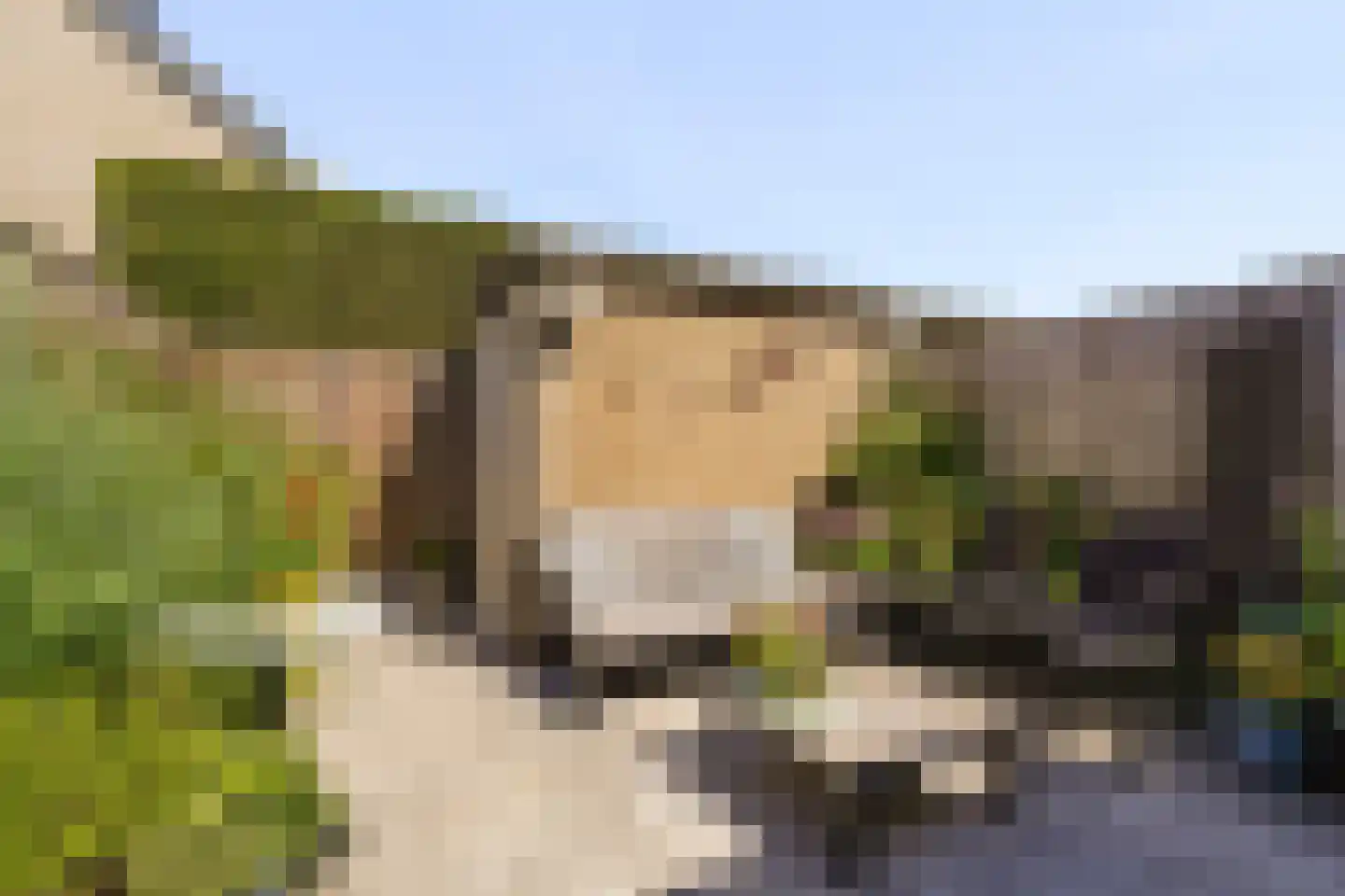 A.B. van Lieshoutlaan 101 Waalwijk thumbnail 5