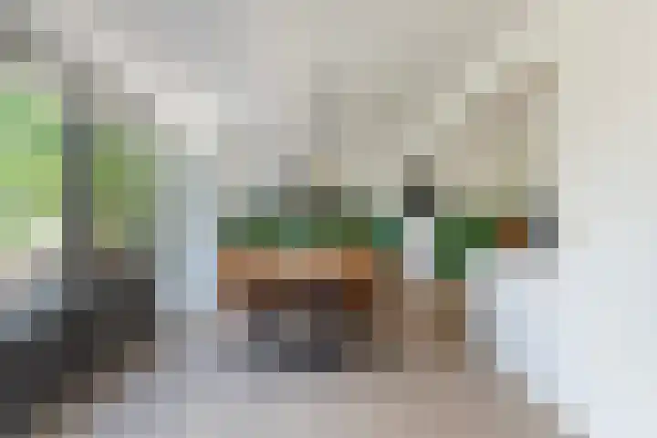 A.B. van Lieshoutlaan 24 Waalwijk thumbnail 13