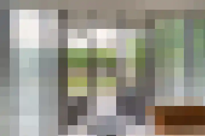 A.B. van Lieshoutlaan 24 Waalwijk thumbnail 15