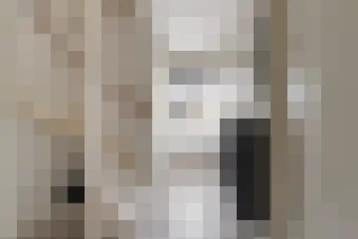 A.B. van Lieshoutlaan 24 Waalwijk thumbnail 17