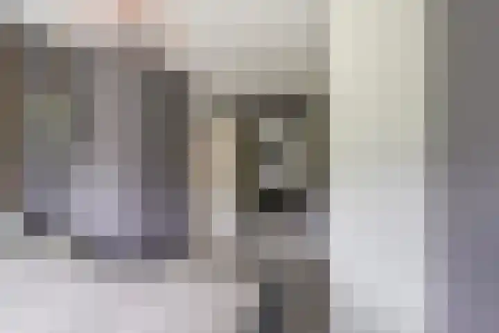 A.B. van Lieshoutlaan 24 Waalwijk thumbnail 20