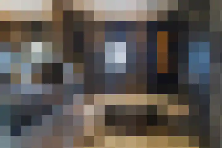 A.B. van Lieshoutlaan 24 Waalwijk thumbnail 24