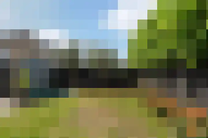 A.B. van Lieshoutlaan 24 Waalwijk thumbnail 30