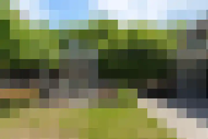 A.B. van Lieshoutlaan 24 Waalwijk thumbnail 31