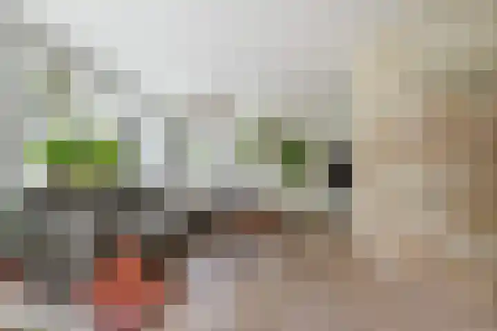 A.B. van Lieshoutlaan 24 Waalwijk thumbnail 8