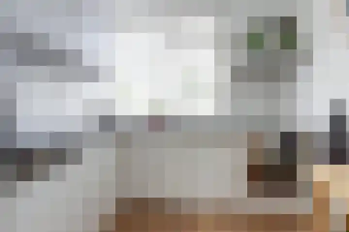 A.B. van Lieshoutlaan 83 Waalwijk thumbnail 5