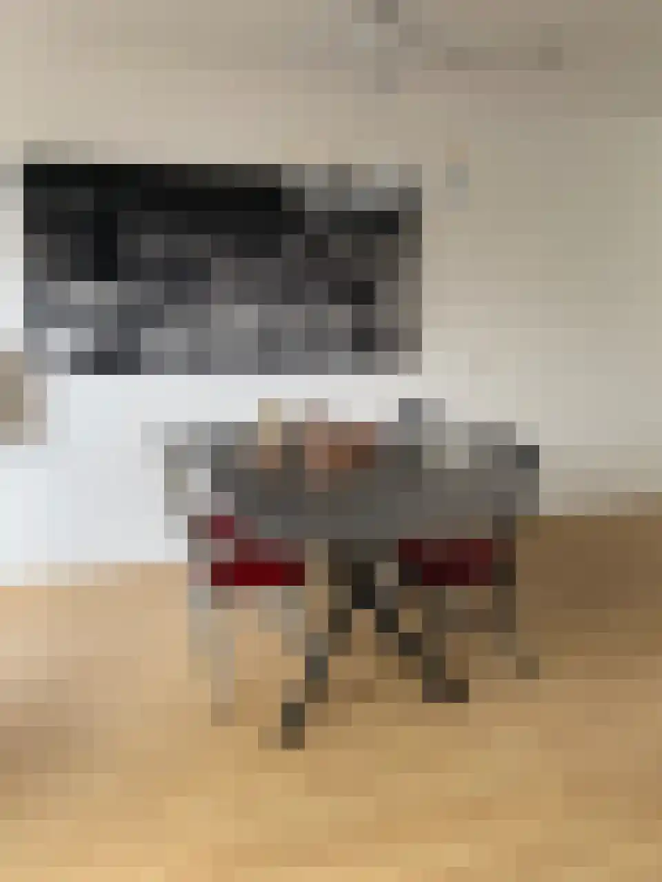 A.B. van Lieshoutlaan 93 Waalwijk thumbnail 4