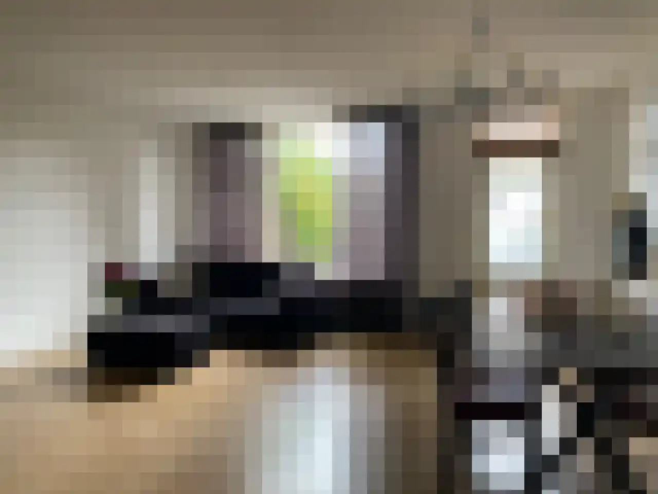 A.B. van Lieshoutlaan 93 Waalwijk thumbnail 8