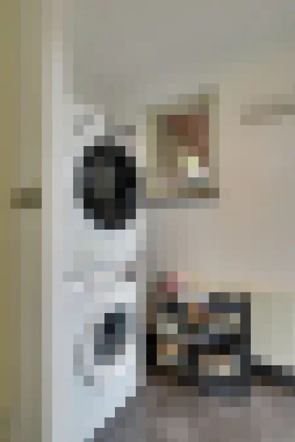 A.C. de Graafstraat 28 Wieringerwerf thumbnail 20