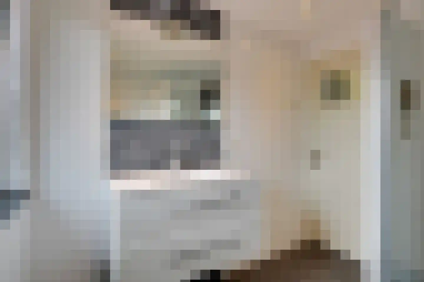 A.C. de Graafstraat 28 Wieringerwerf thumbnail 31