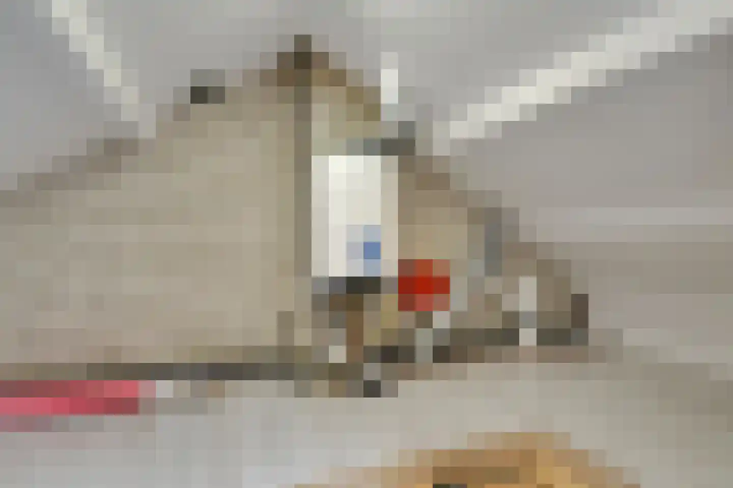 A.C. de Graafstraat 28 Wieringerwerf thumbnail 33