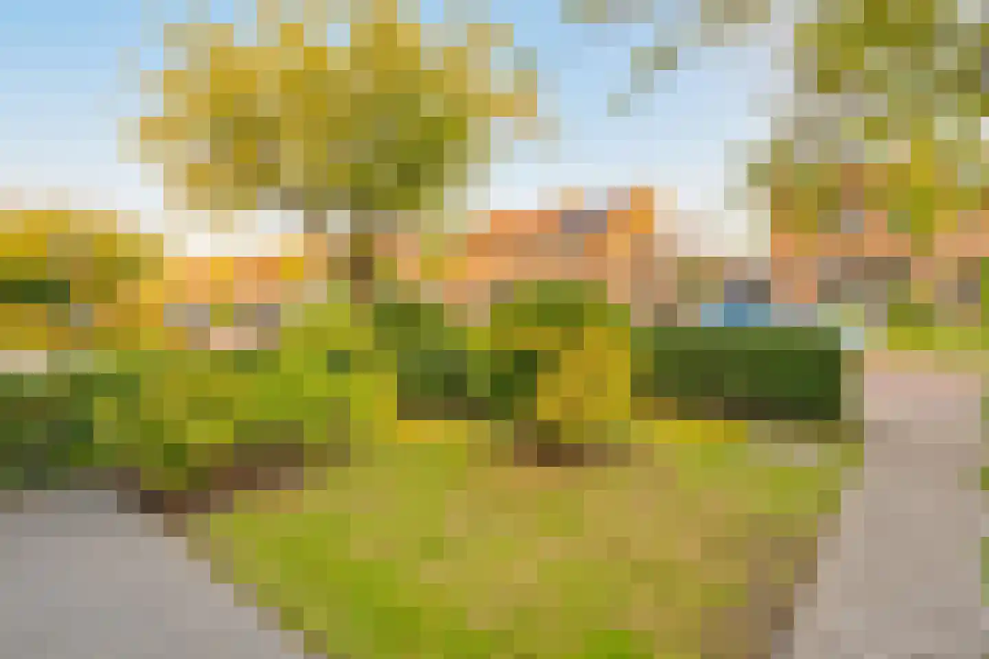A.C. de Graafstraat 28 Wieringerwerf thumbnail 46