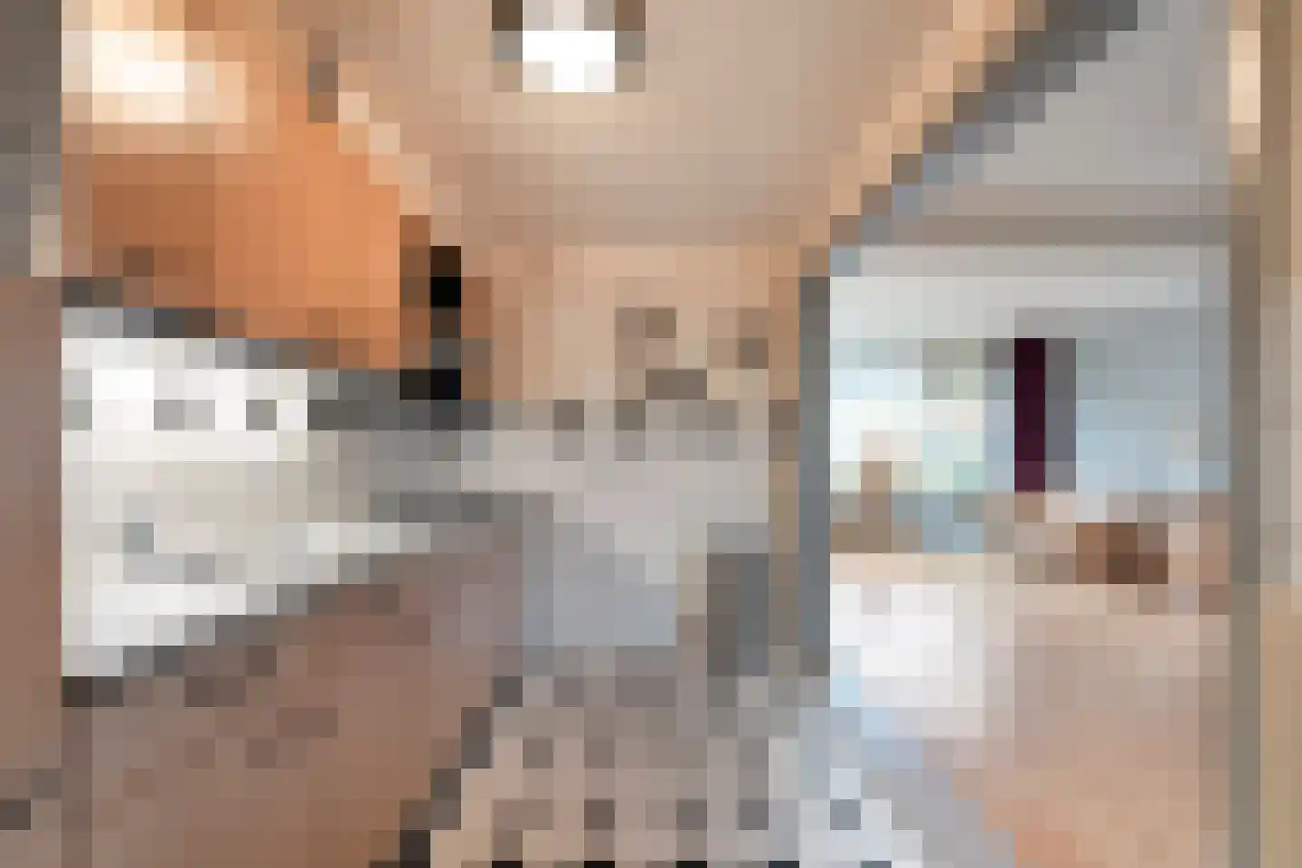 A.C. de Graafstraat 30 Wieringerwerf thumbnail 12