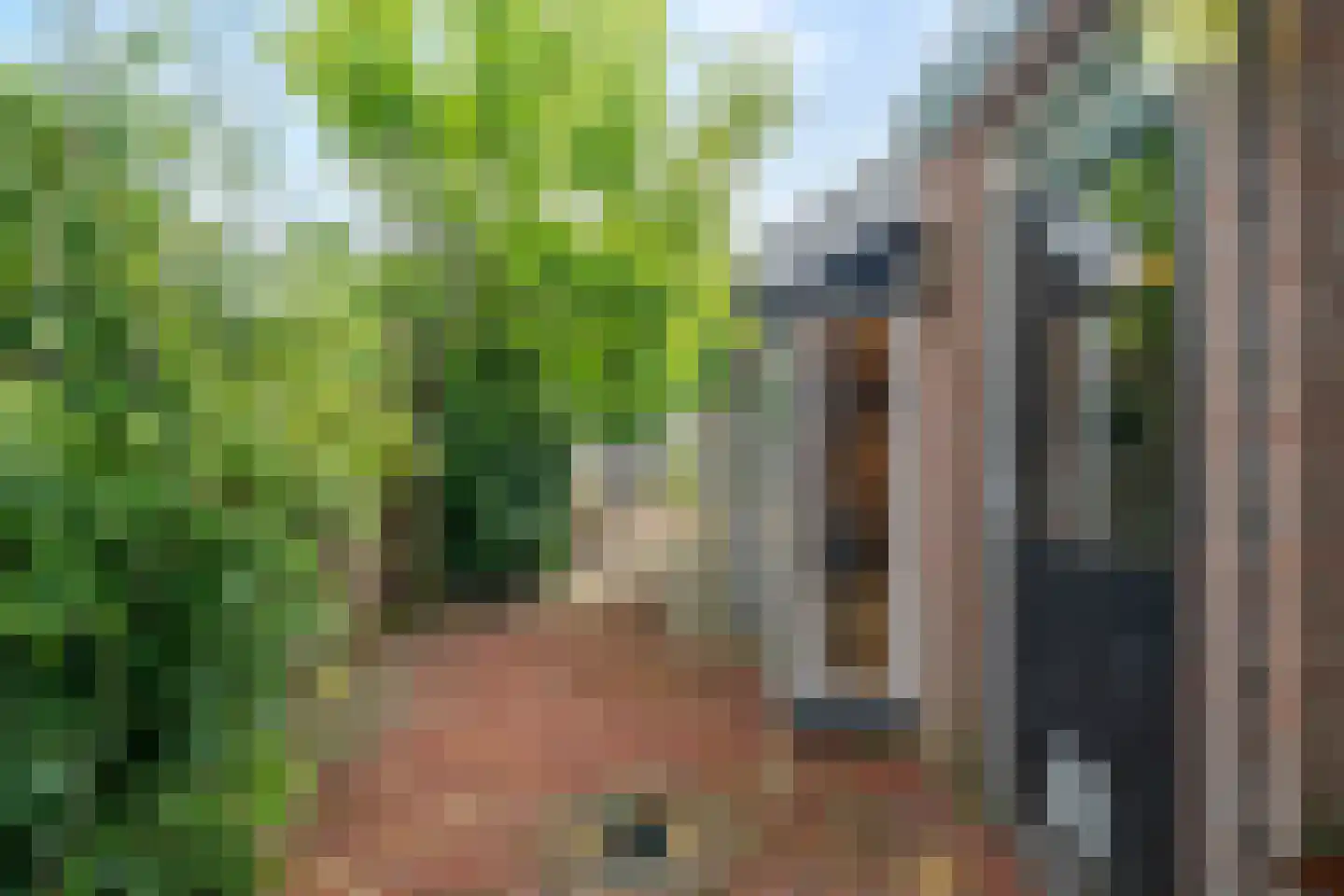 A.C. de Graafstraat 30 Wieringerwerf thumbnail 26