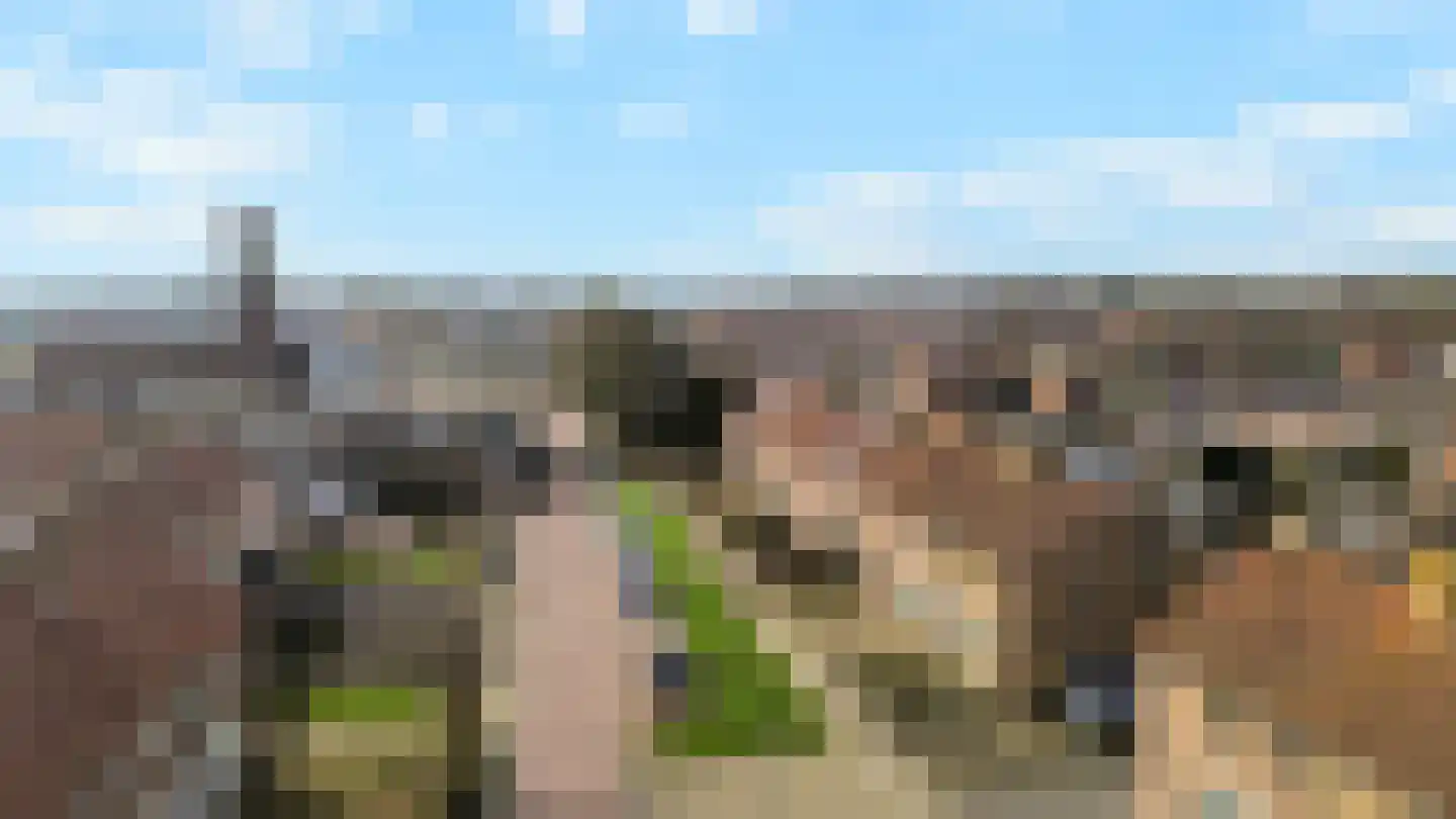 A.C. de Graafstraat 7 Wieringerwerf thumbnail 28