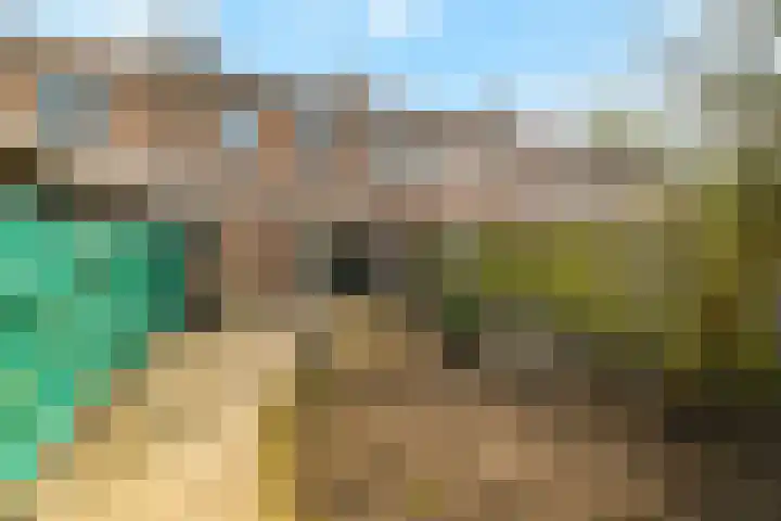 A.C. de Graafstraat 7 Wieringerwerf thumbnail 4