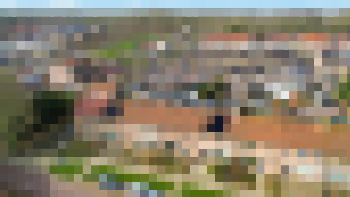 A.C. de Graafstraat 7 Wieringerwerf thumbnail 5