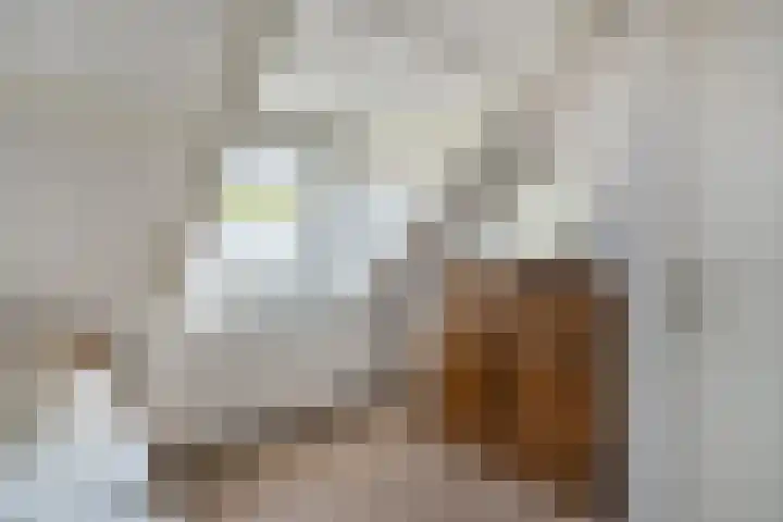 A C de Ruijter van Steveninckstraat 15 Hedel thumbnail 18
