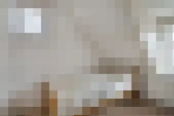 A C de Ruijter van Steveninckstraat 15 Hedel thumbnail 19