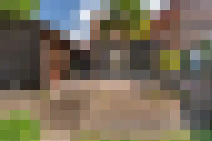 A C de Ruijter van Steveninckstraat 15 Hedel thumbnail 25