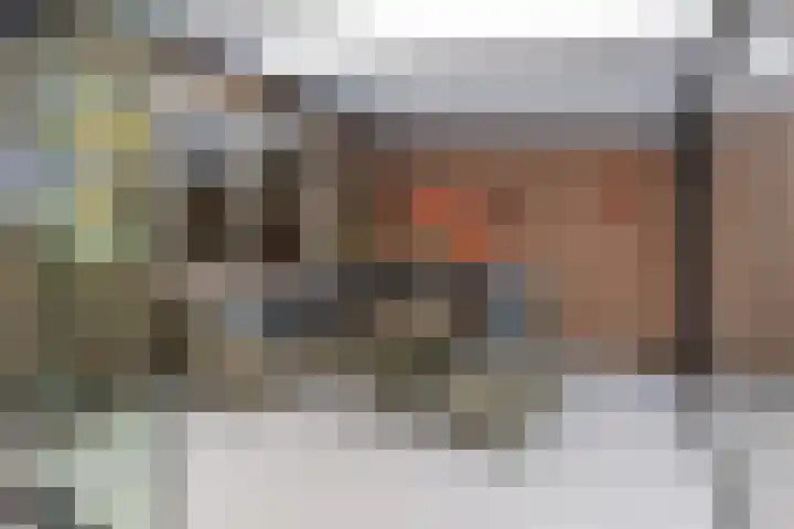 A C de Ruijter van Steveninckstraat 15 Hedel thumbnail 27